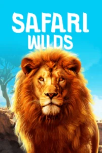 Safari Wild